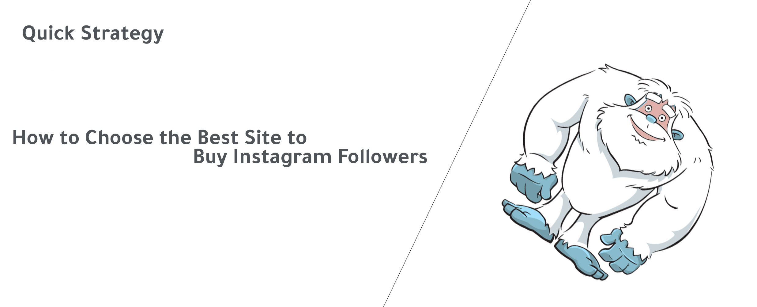 How to Choose the Best Site to Buy Instagram Followers